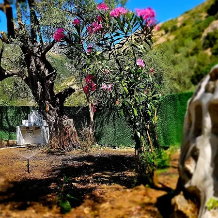 Πανσιόν Lemon House Borsh Χειμάρρα
