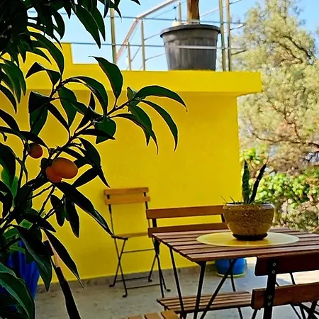 Lemon House Borsh *